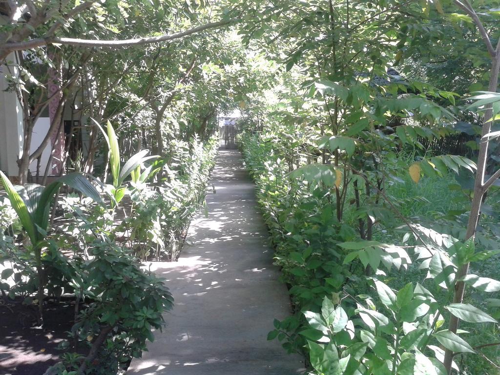 Putri Homestay กิลิเมโน ภายนอก รูปภาพ