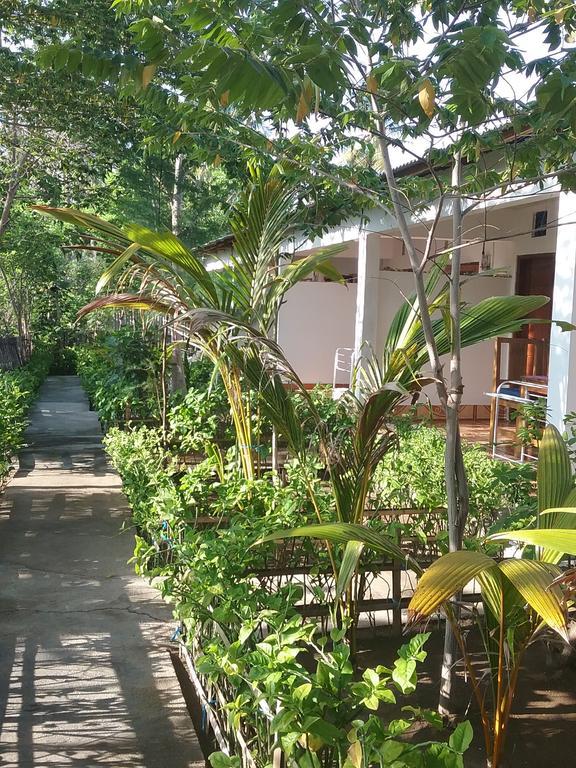Putri Homestay กิลิเมโน ภายนอก รูปภาพ